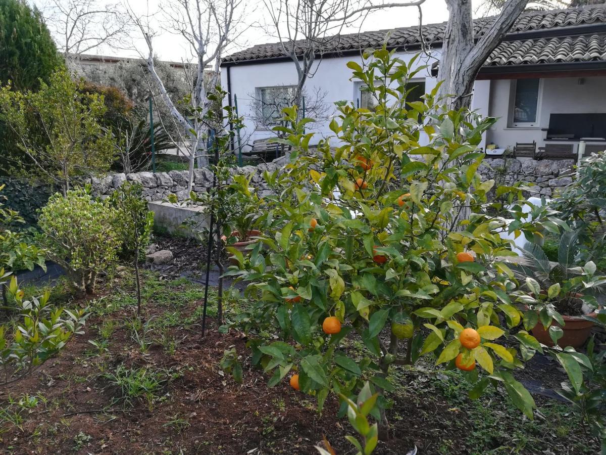 Casa Degli Avi Don Neli, Immersa Nella Natura Modica Exterior foto