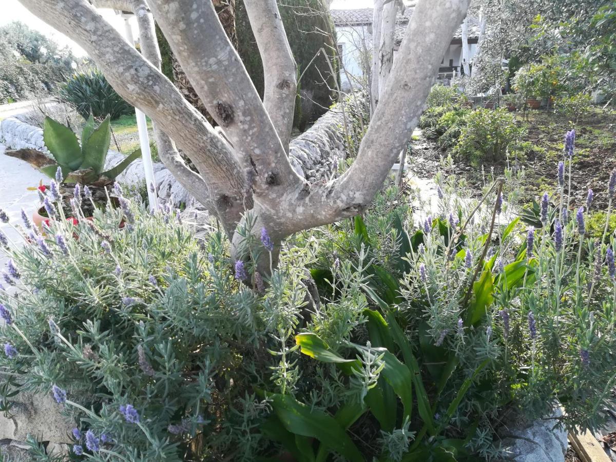 Casa Degli Avi Don Neli, Immersa Nella Natura Modica Exterior foto