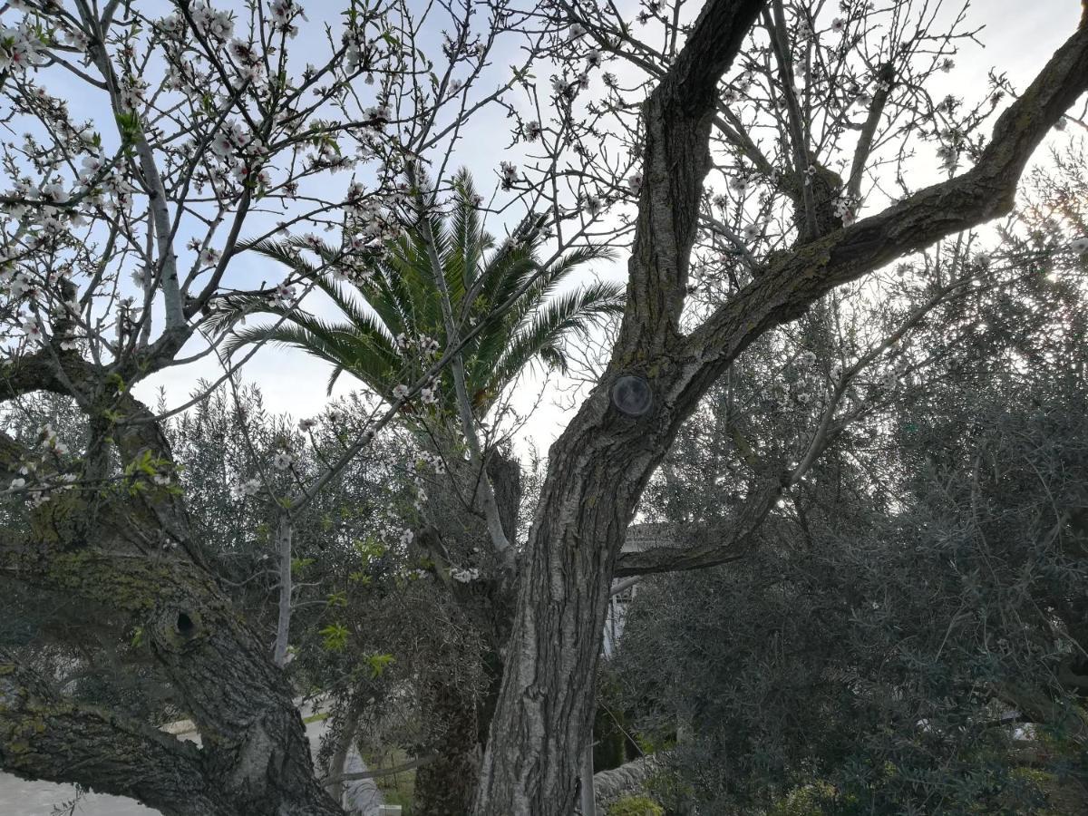 Casa Degli Avi Don Neli, Immersa Nella Natura Modica Exterior foto